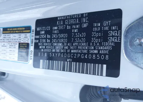 2023 Kia Telluride S from USA, damaged, VIN 5XYP6DGC2PG408508